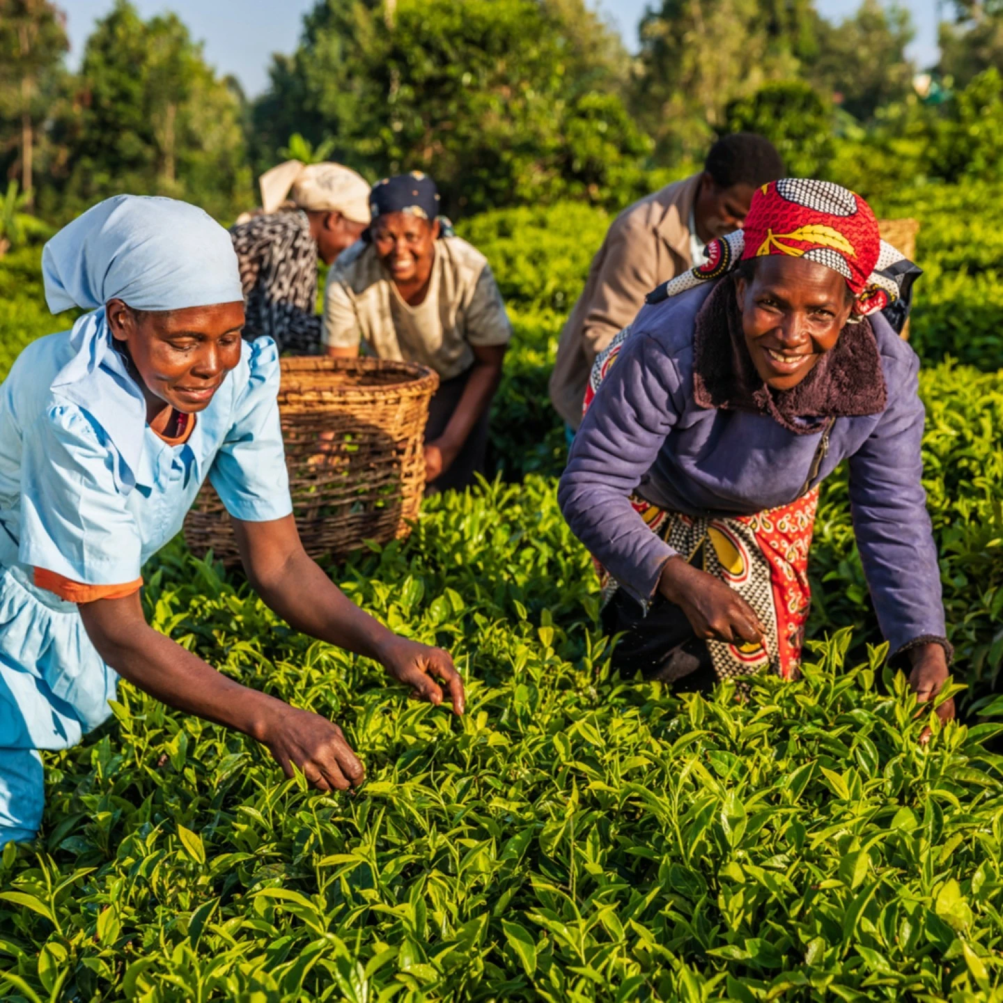 women farming